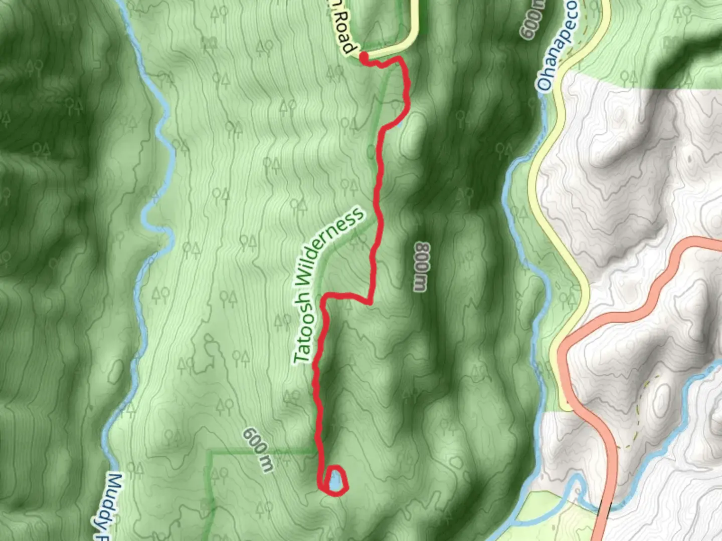 An image depicting the trail Backbone Lake Trail and its surrounding area.