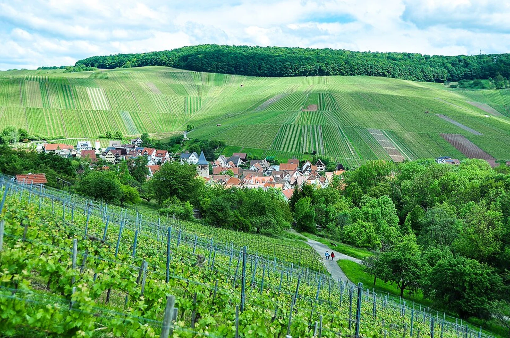 An image depicting the trail Strümpfelbachtal Loop and its surrounding area.