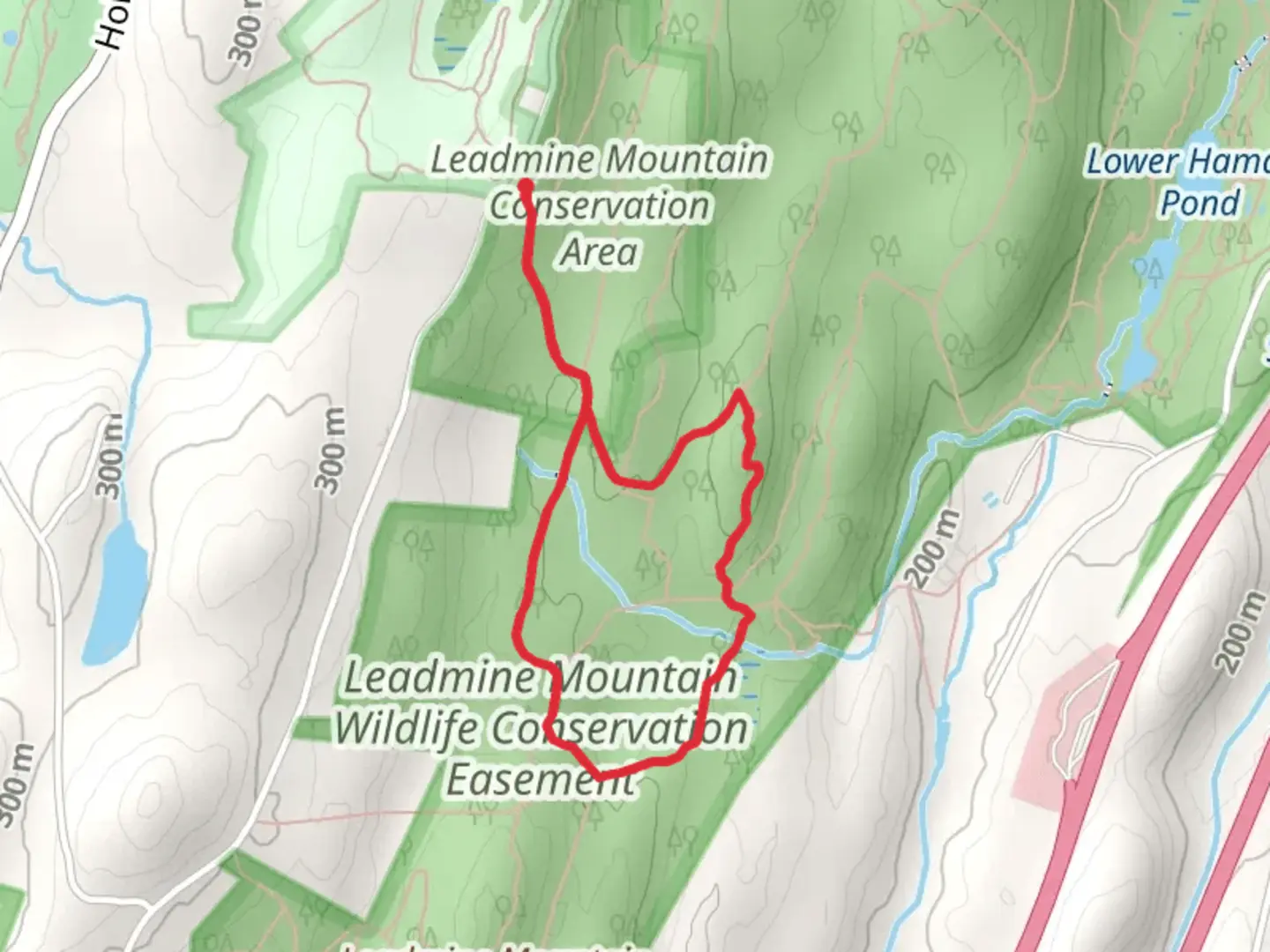 An image depicting the trail Leadmine Mountain Wildlife Conservation Loop and its surrounding area.