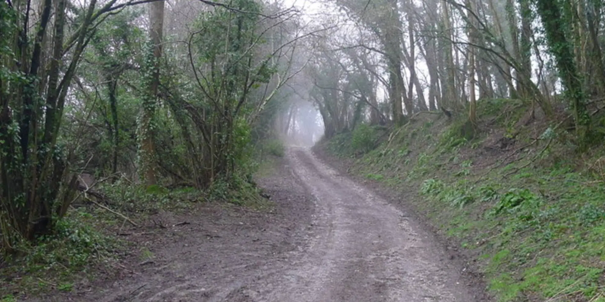 An image depicting the trail Plush and Wessex Ridgeway and its surrounding area.