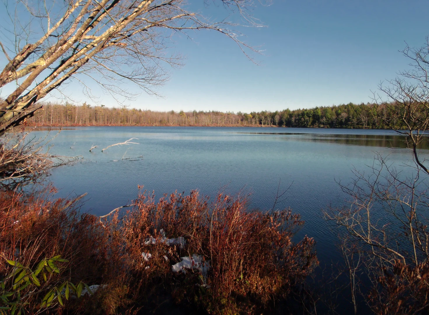 An image depicting the trail Heron Pond and Bear Lake Trail and its surrounding area.