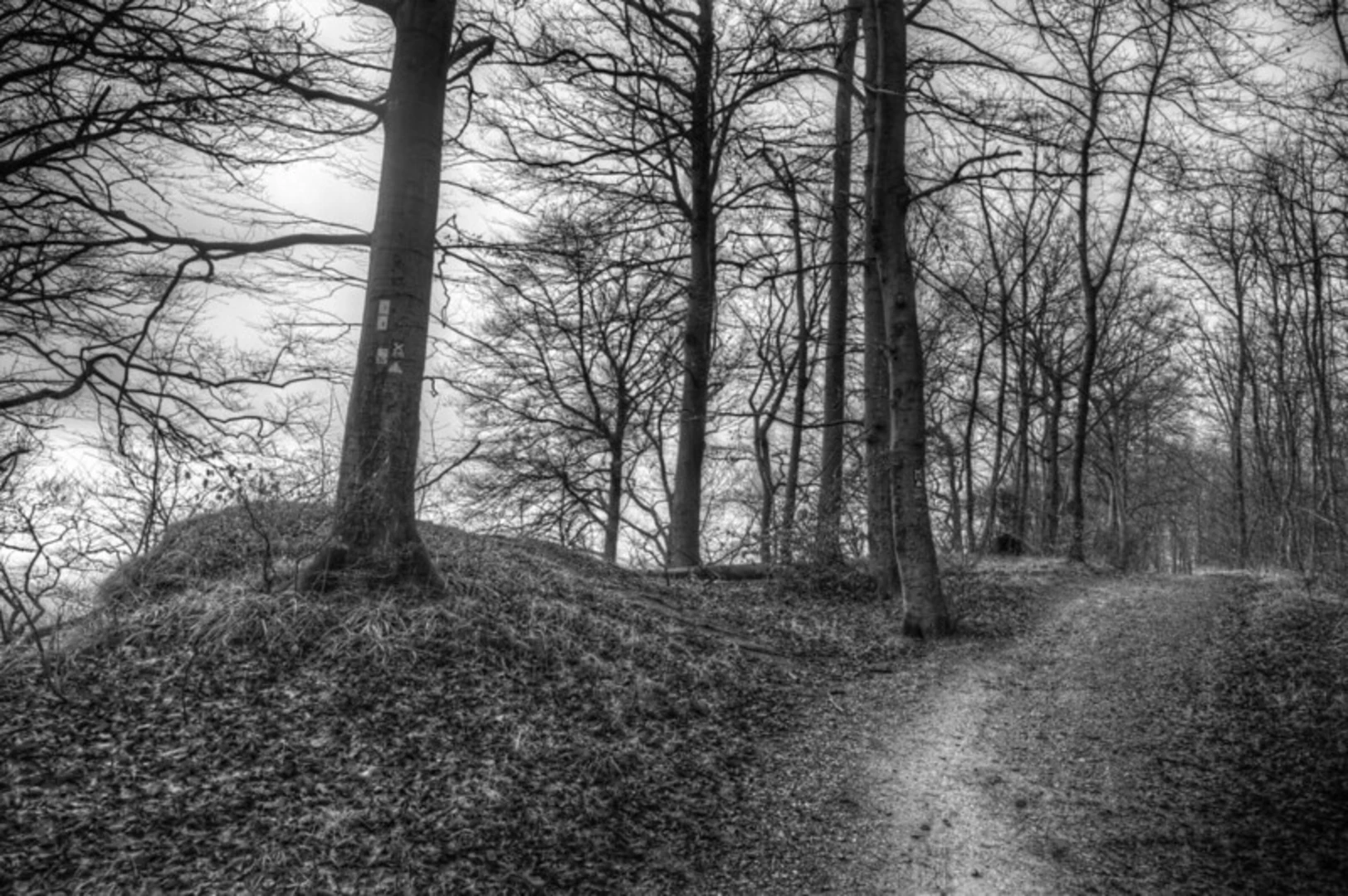 An image depicting the trail Totental, Treppenweg and Ramsnackenweg and its surrounding area.