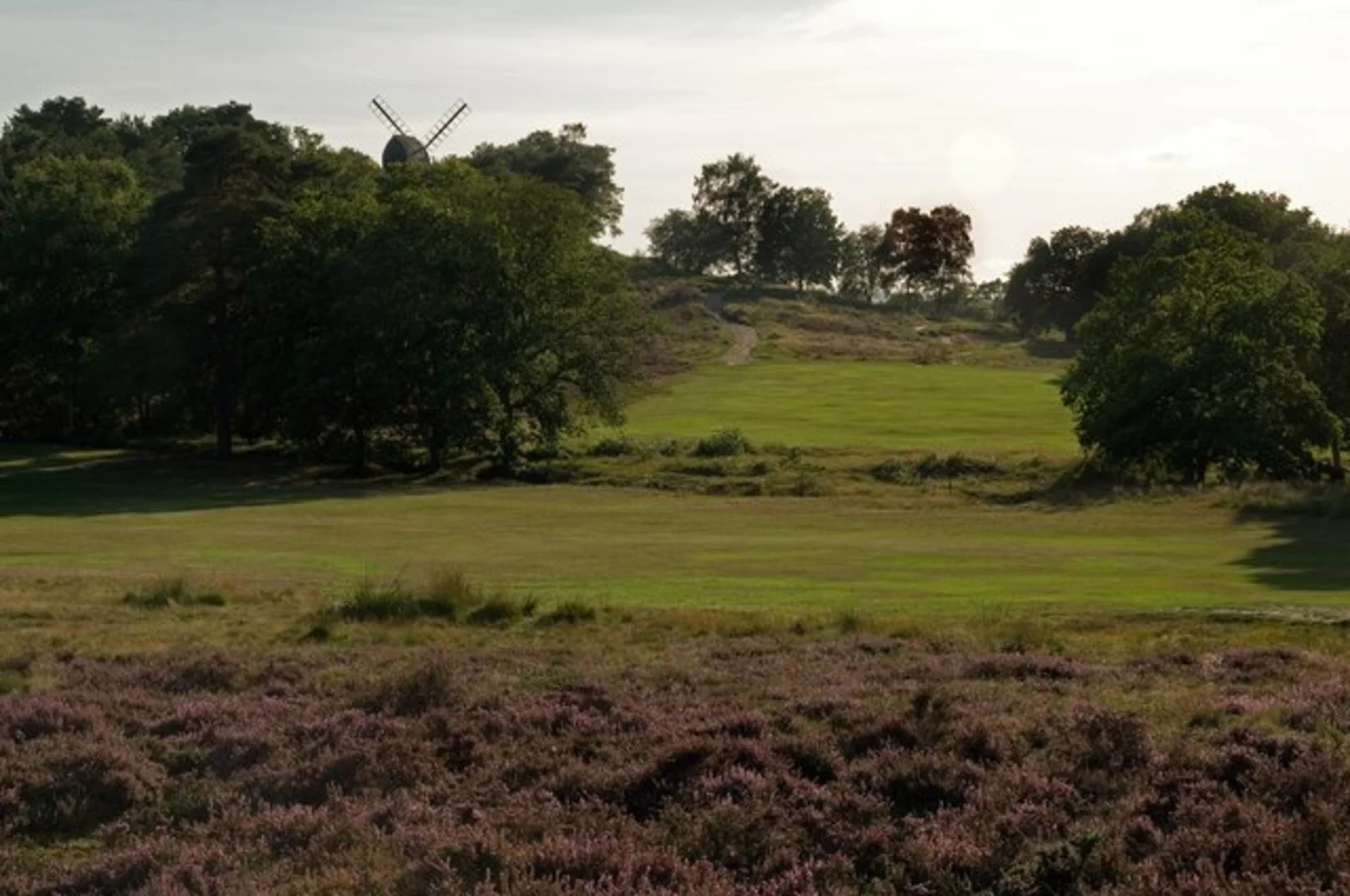 An image depicting the trail Buckland Southern Loop via Reigate Park and its surrounding area.