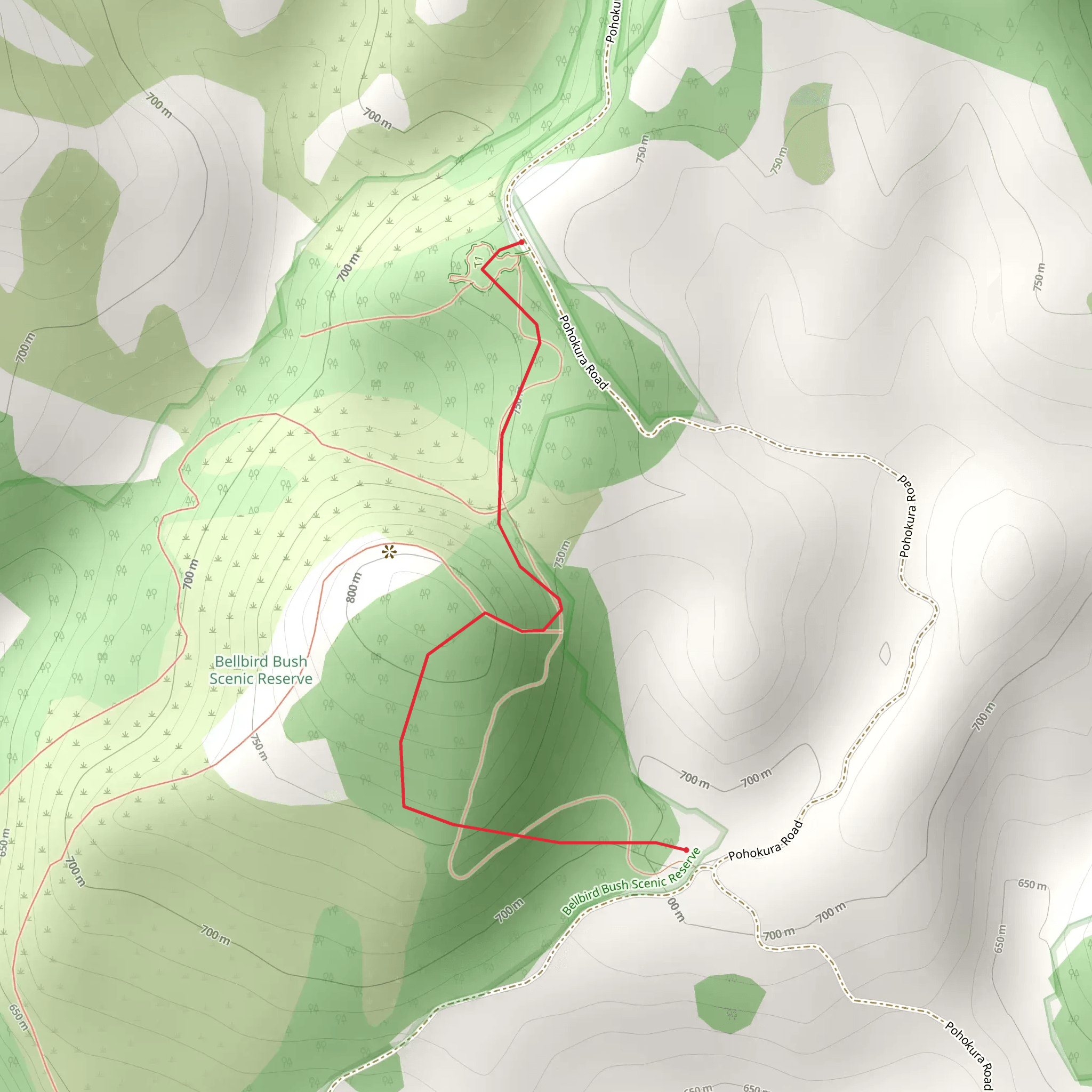 Boundary Stream Walks mobile static map