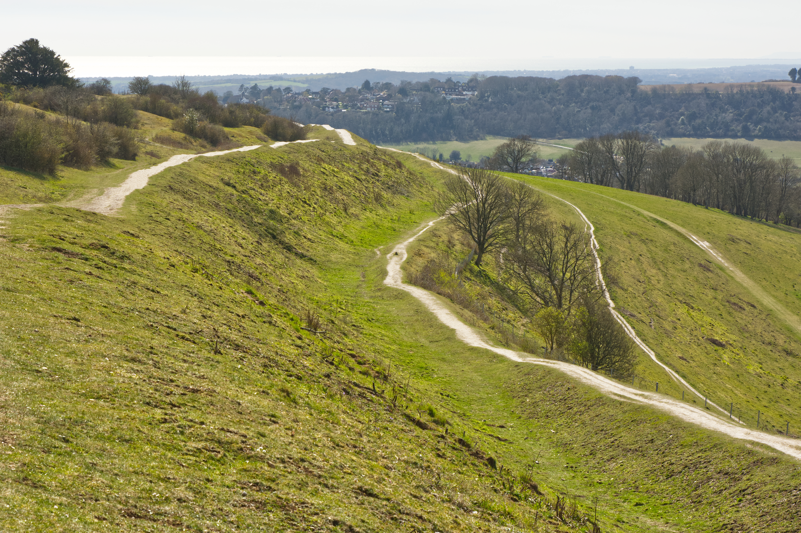 An image depicting the trail Cissbury Ring and Chanctonbury Ring from Washington and its surrounding area.