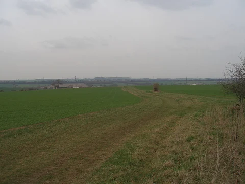 Green Hills and Hampole Wood Loop
