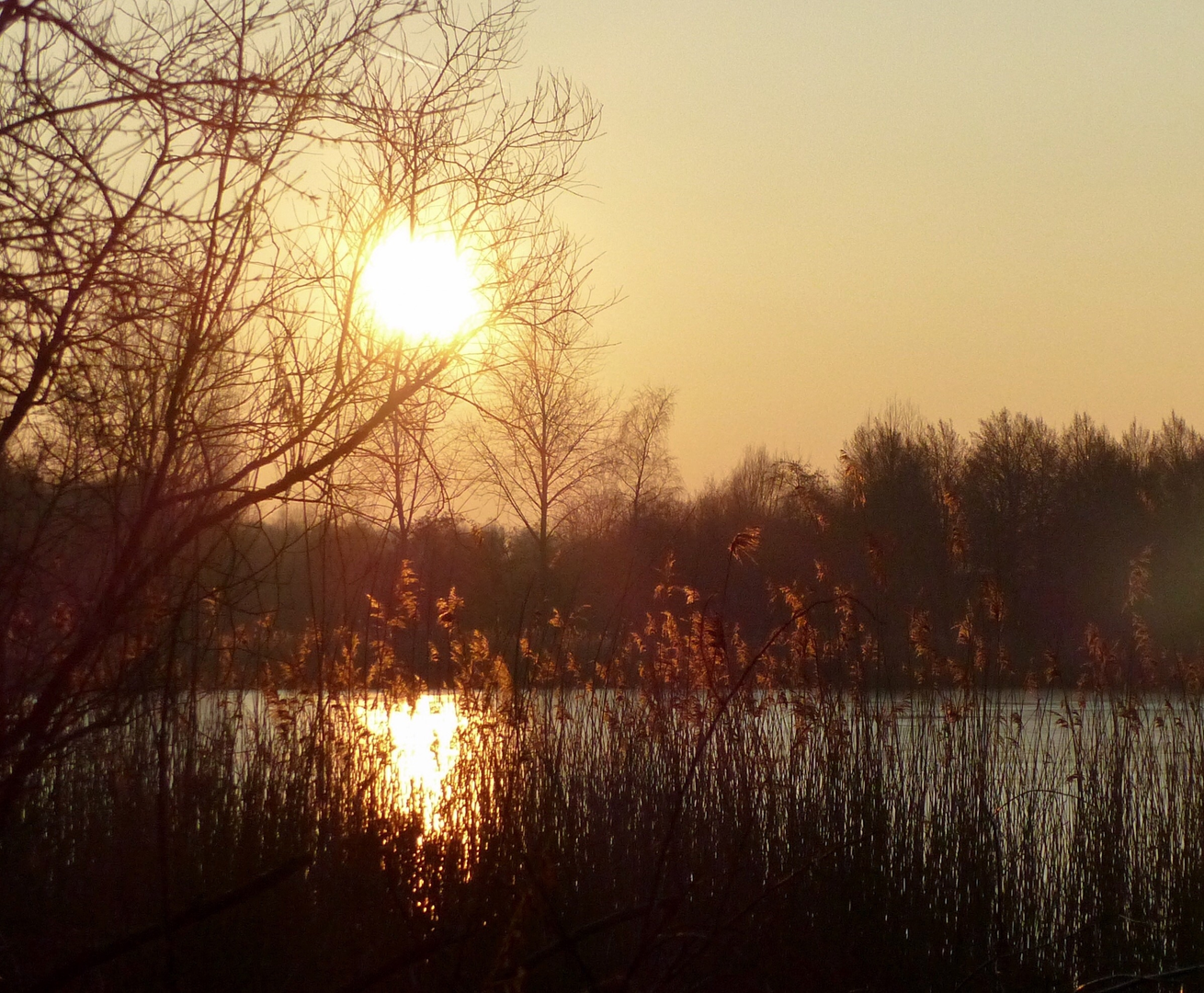 An image depicting the trail Natuurpark Lelystad Loop and its surrounding area.