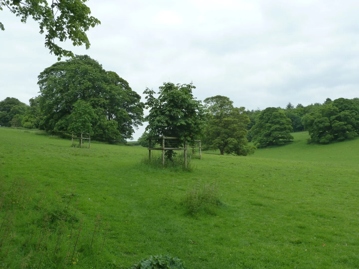 An image depicting the trail Great Missenden Loop and its surrounding area.