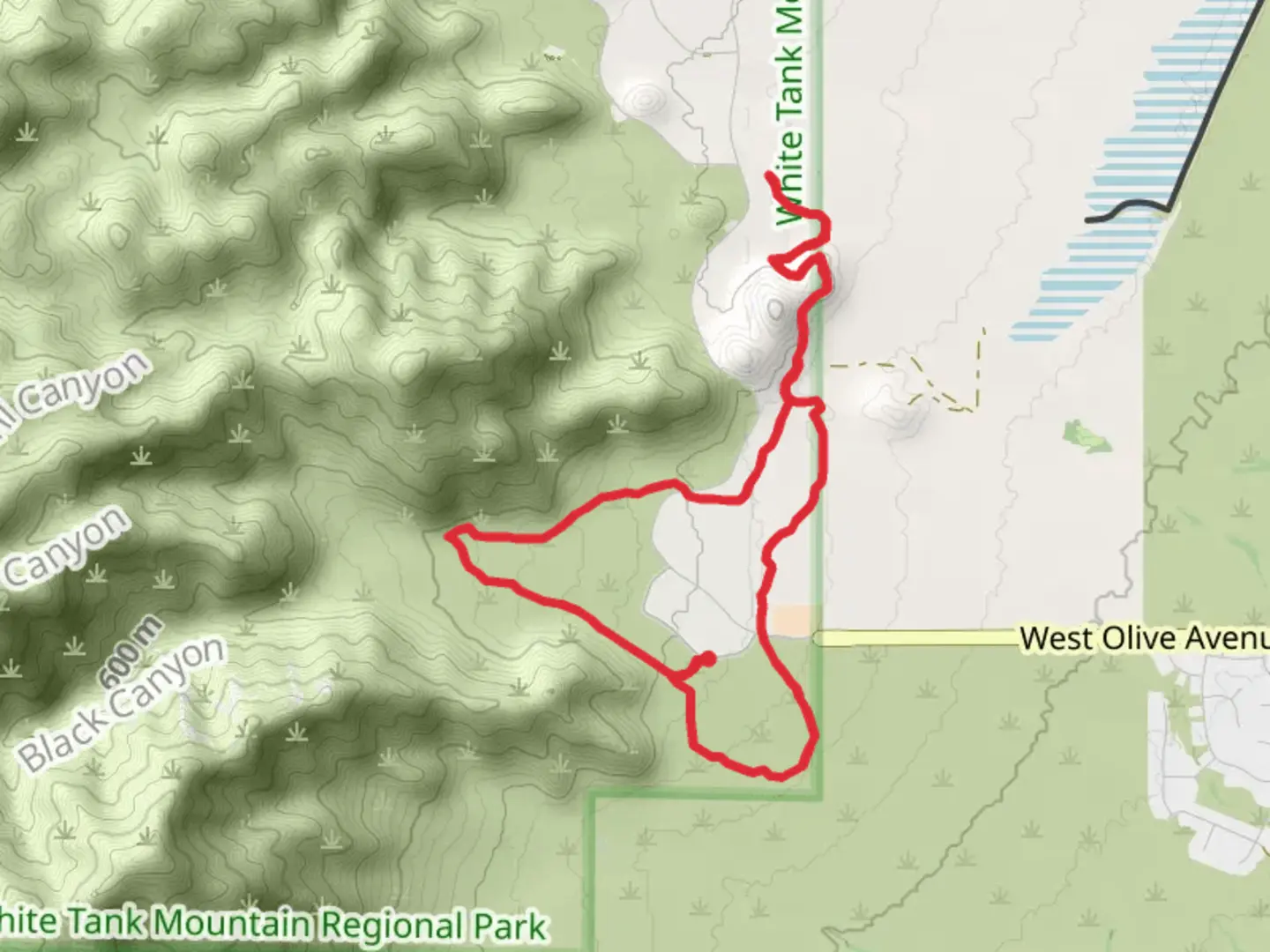 An image depicting the trail North Fork Cholla Wash - Mule Deer Loop Trai and its surrounding area.
