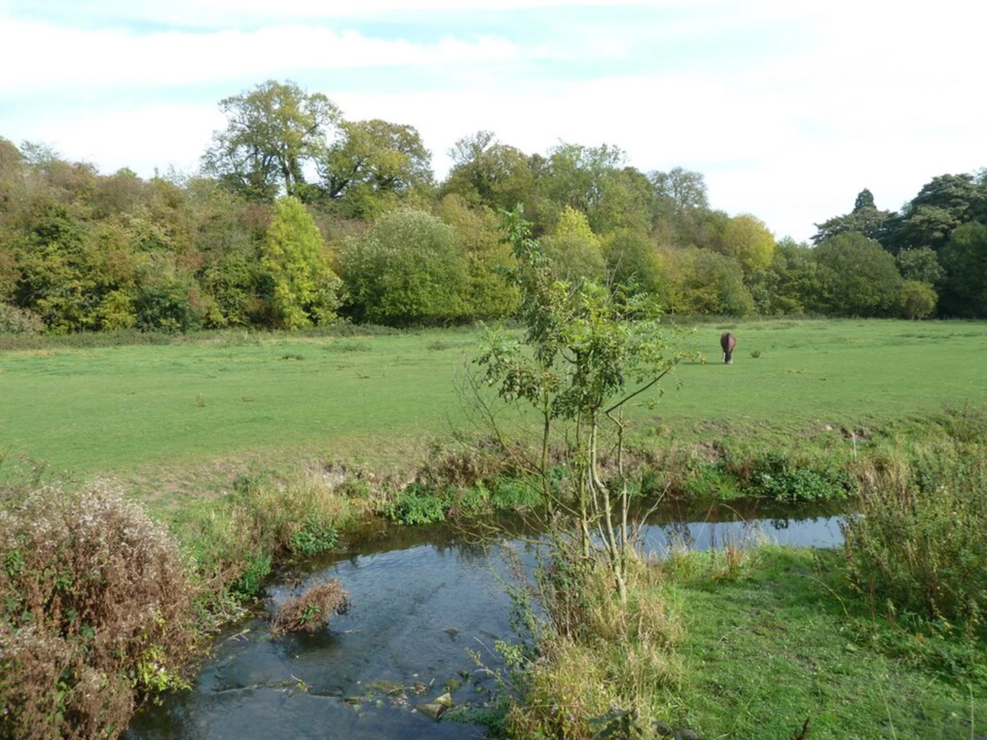 An image depicting the trail Meden Trail Nature Reserve and its surrounding area.