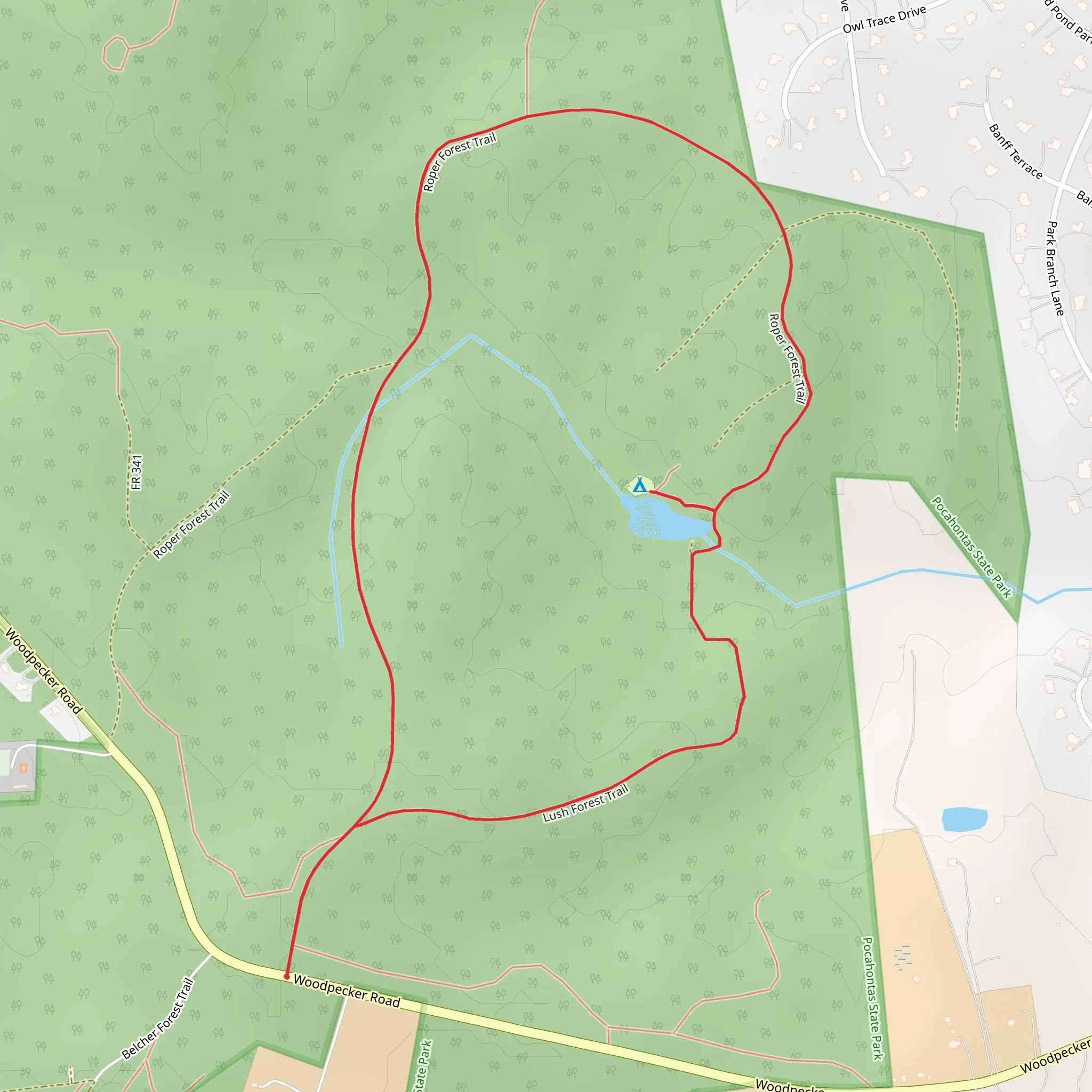 Lush Forest and Roper Forest Loop Trail mobile static map
