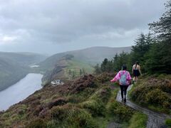 Louise Tighe  avatar