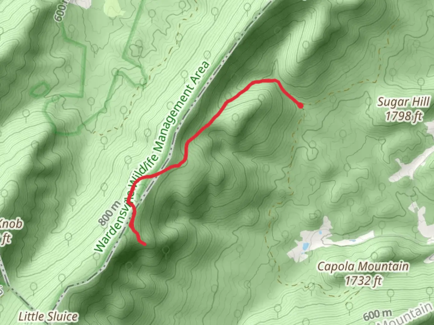 An image depicting the trail White Rock Trail via Sulphur Spring Gap Trail and its surrounding area.