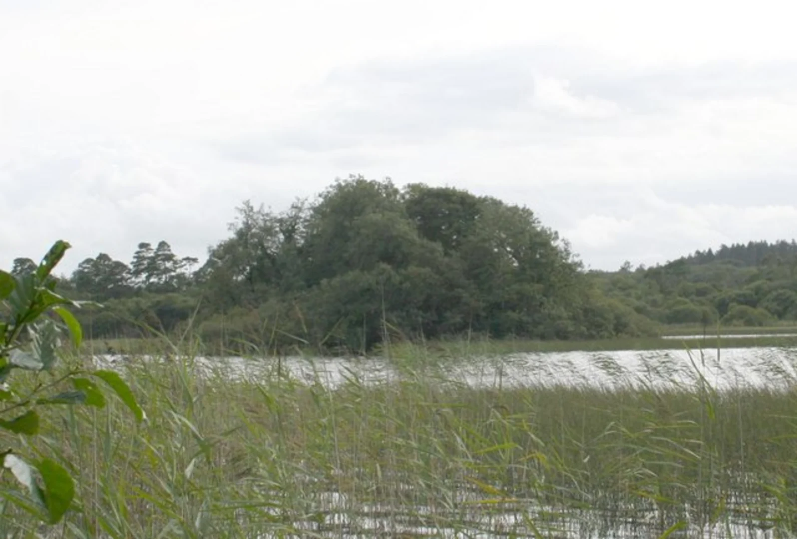An image depicting the trail Union Rock Trail and its surrounding area.