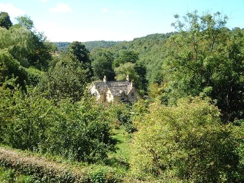 An image depicting the trail Chalford and the Toadsmoor Valley Walk and its surrounding area.
