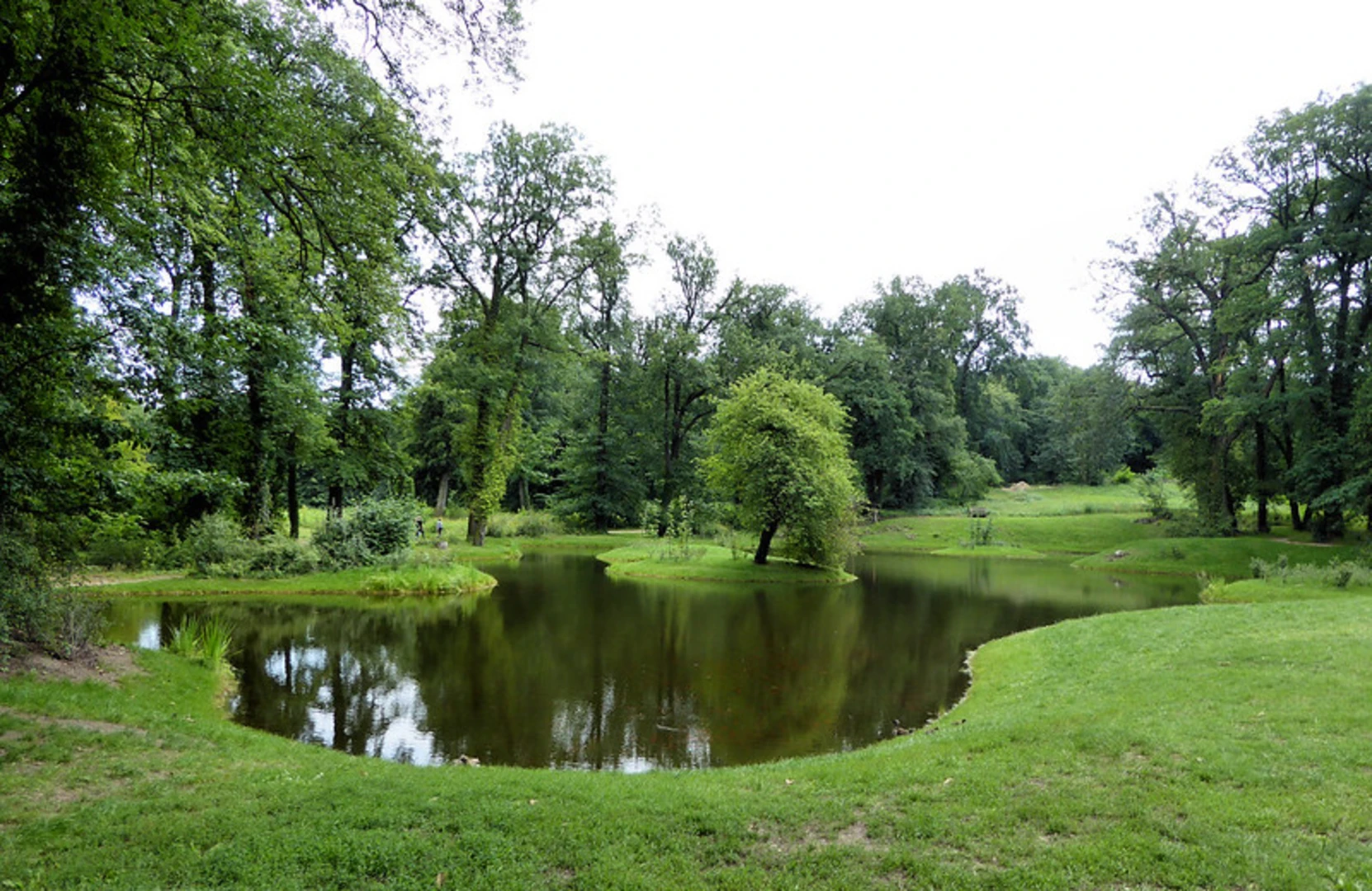 An image depicting the trail Schächerbachtour Homberg Loop and its surrounding area.