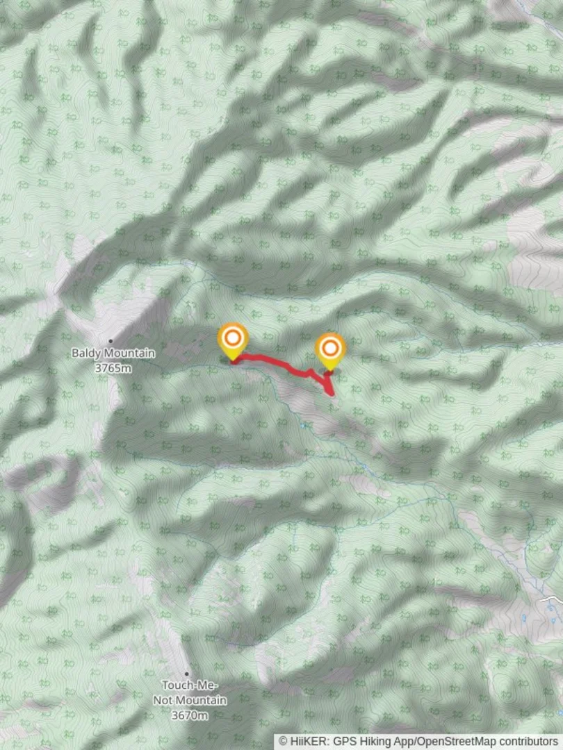 An image depicting the trail Ewells Park to Baldy Town Trail and its surrounding area.