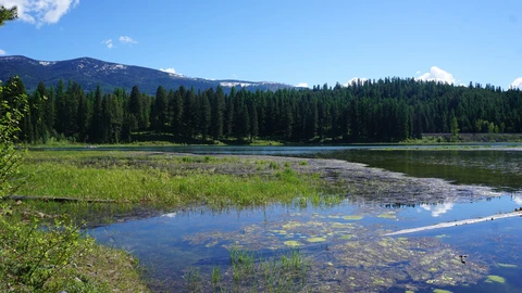 An image depicting the trail Lagoni Lake Trail and its surrounding area.