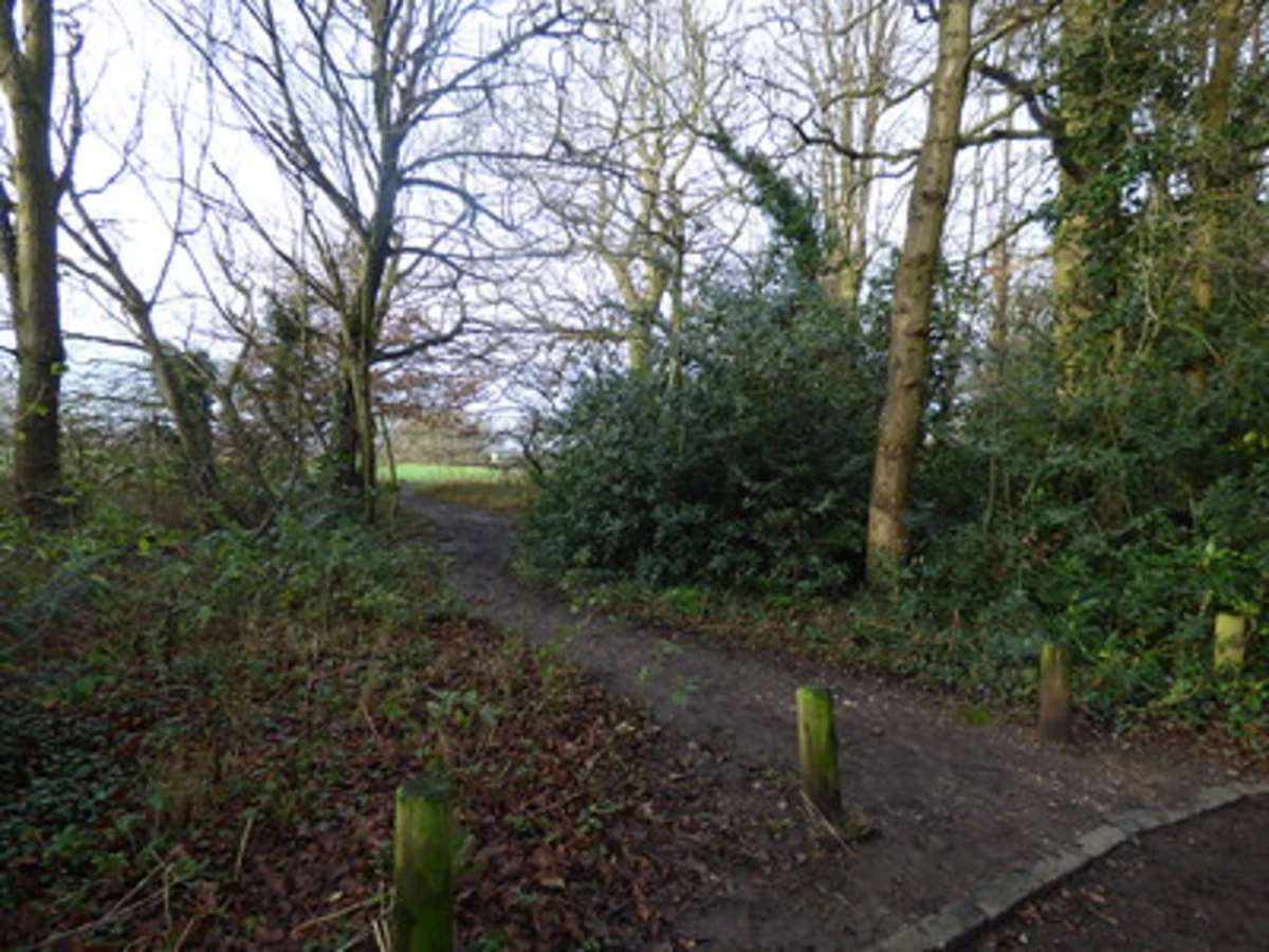 Elmdon Nature Park Loop