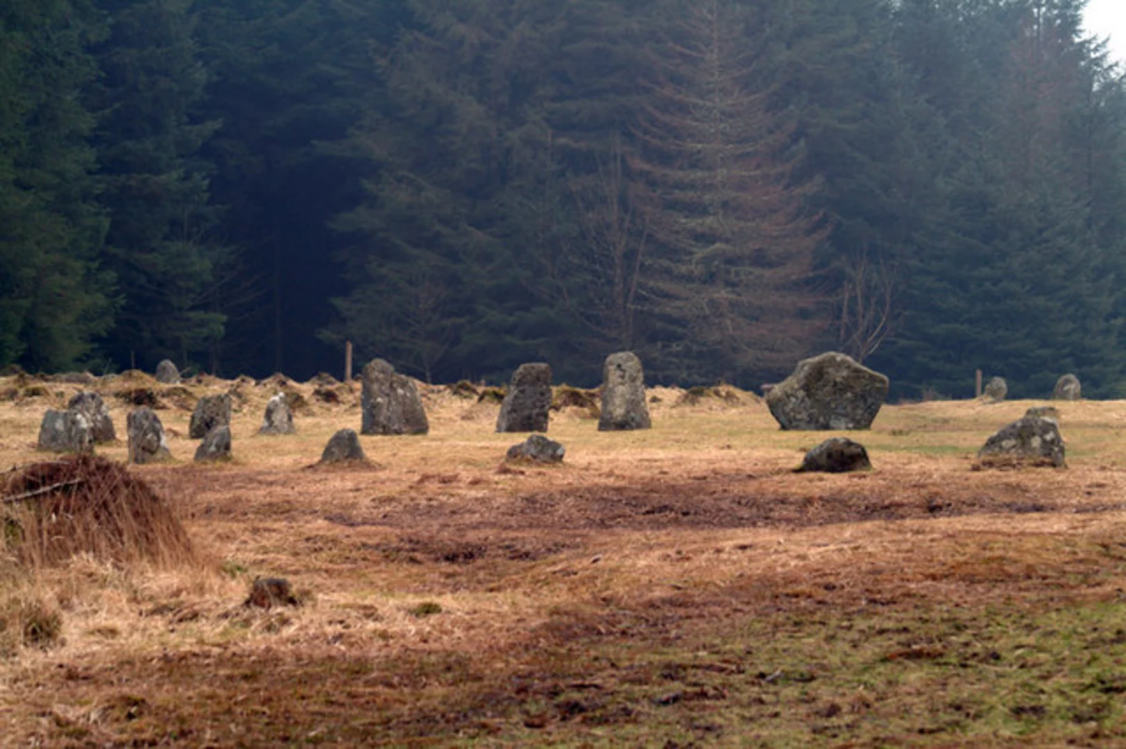An image depicting the trail Fernworthy Stone Circle Walk and its surrounding area.