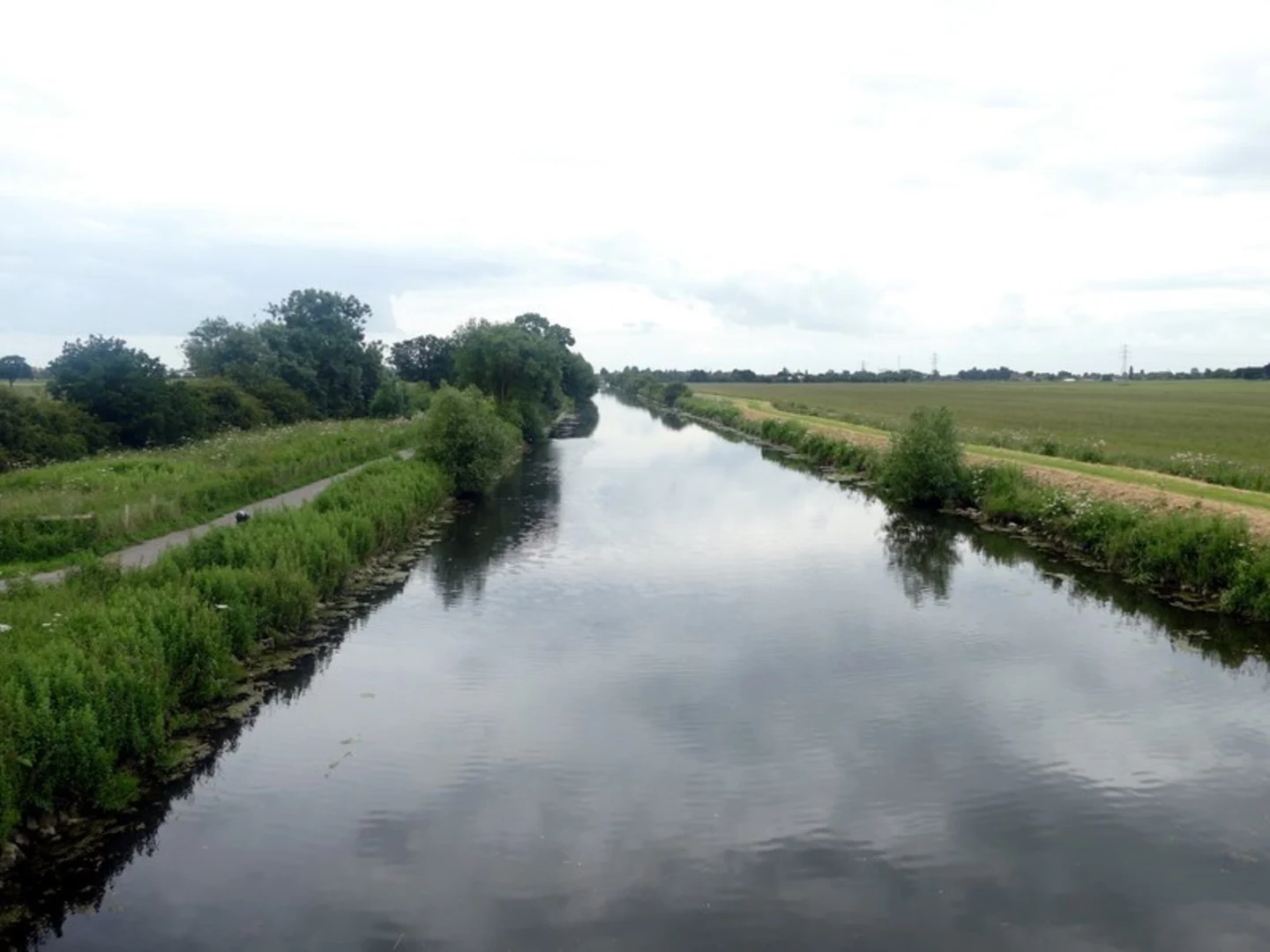 An image depicting the trail Brigg Walk and its surrounding area.