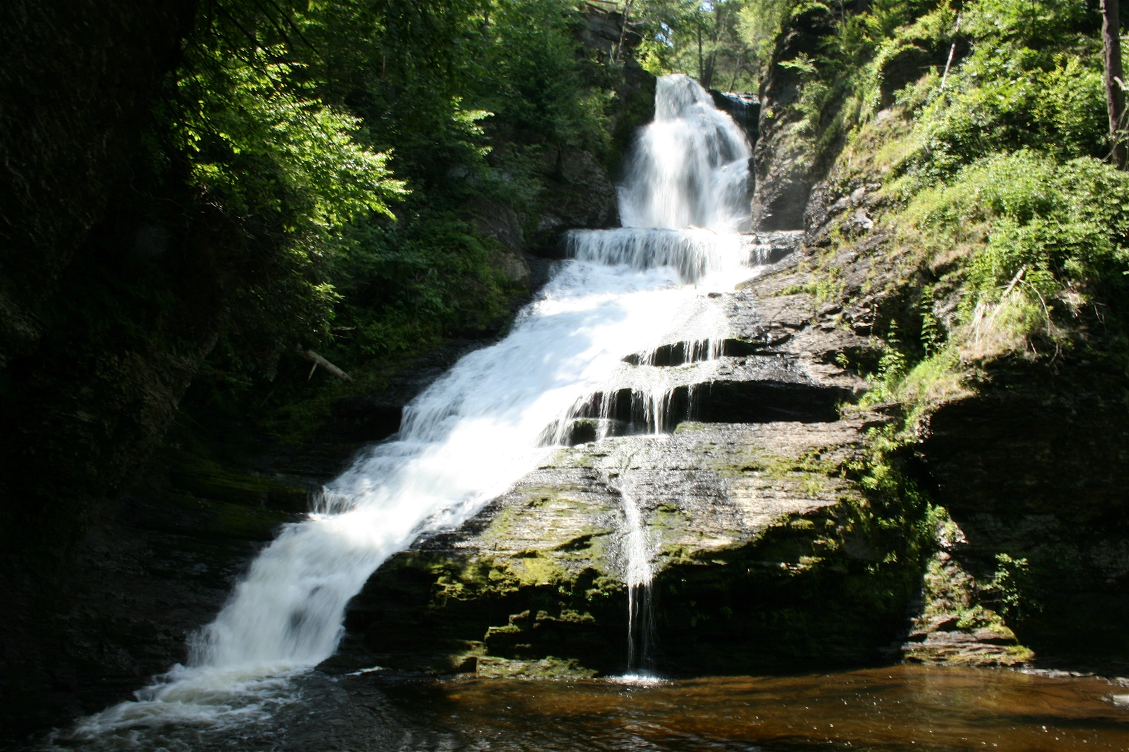 An image depicting the trail Dingmans Creek Trail and its surrounding area.