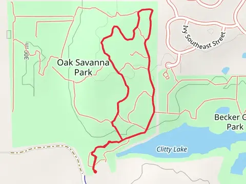 Oak Savanna Park East Loop