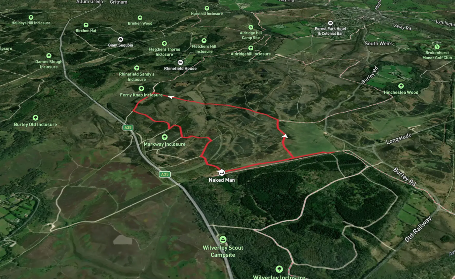 Holm Hill, Naked Man and Ferny Knap Inclosure Loop Hampshire Engla