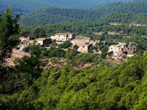 An image depicting the trail Suria Trail PR C 134 and its surrounding area.