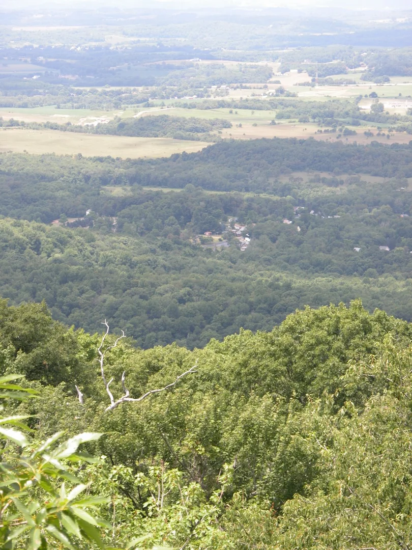 An image depicting the trail Pine Knob Trail and its surrounding area.