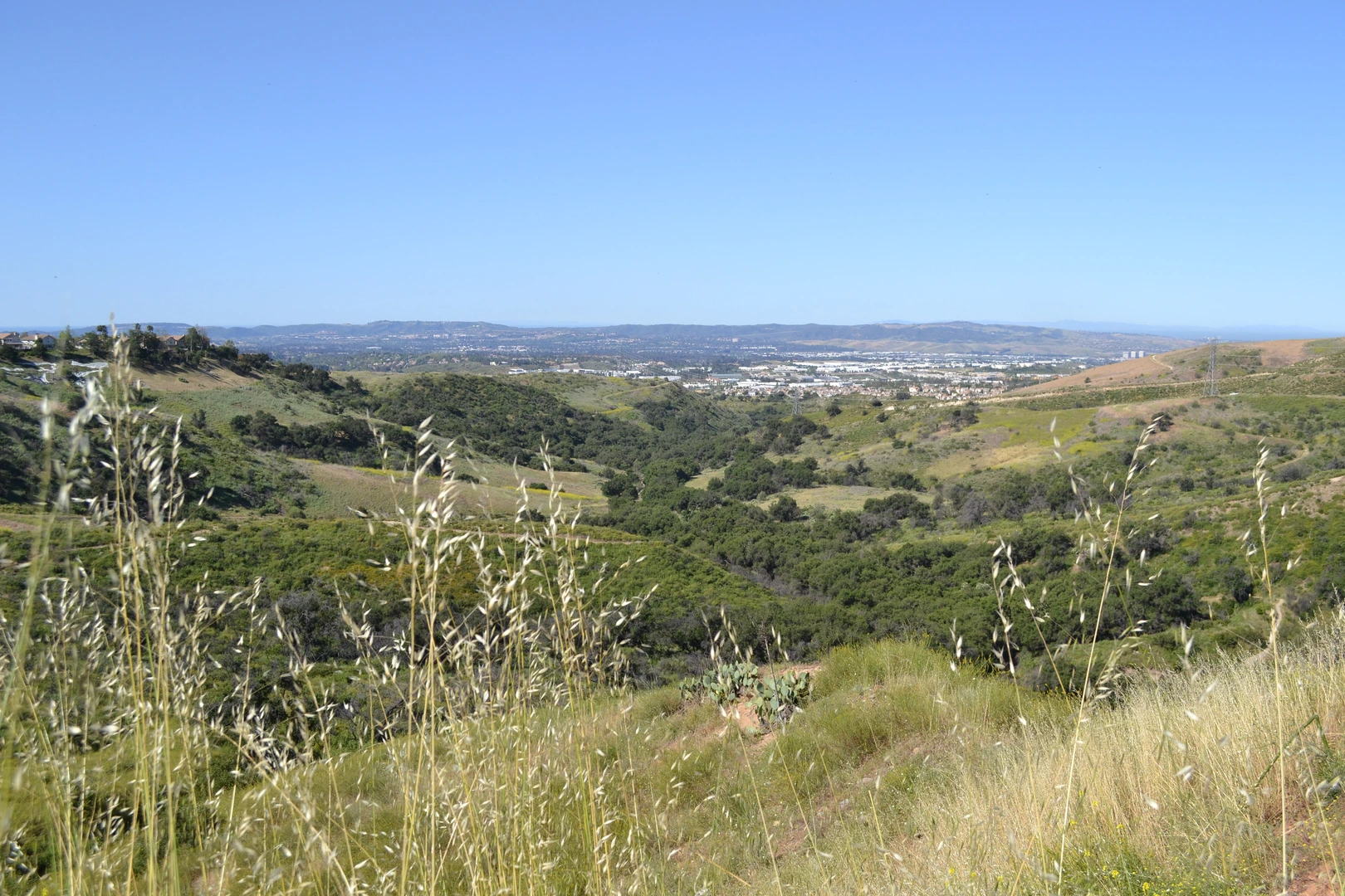 An image depicting the trail Borrego Park and Foothill Ranch Community Park Loop and its surrounding area.