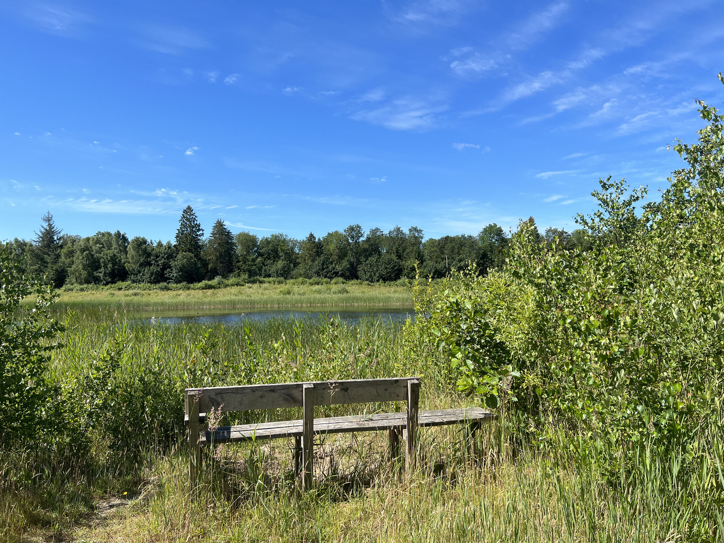 An image depicting the trail Kuinderplas and Burchtbos Loop and its surrounding area.