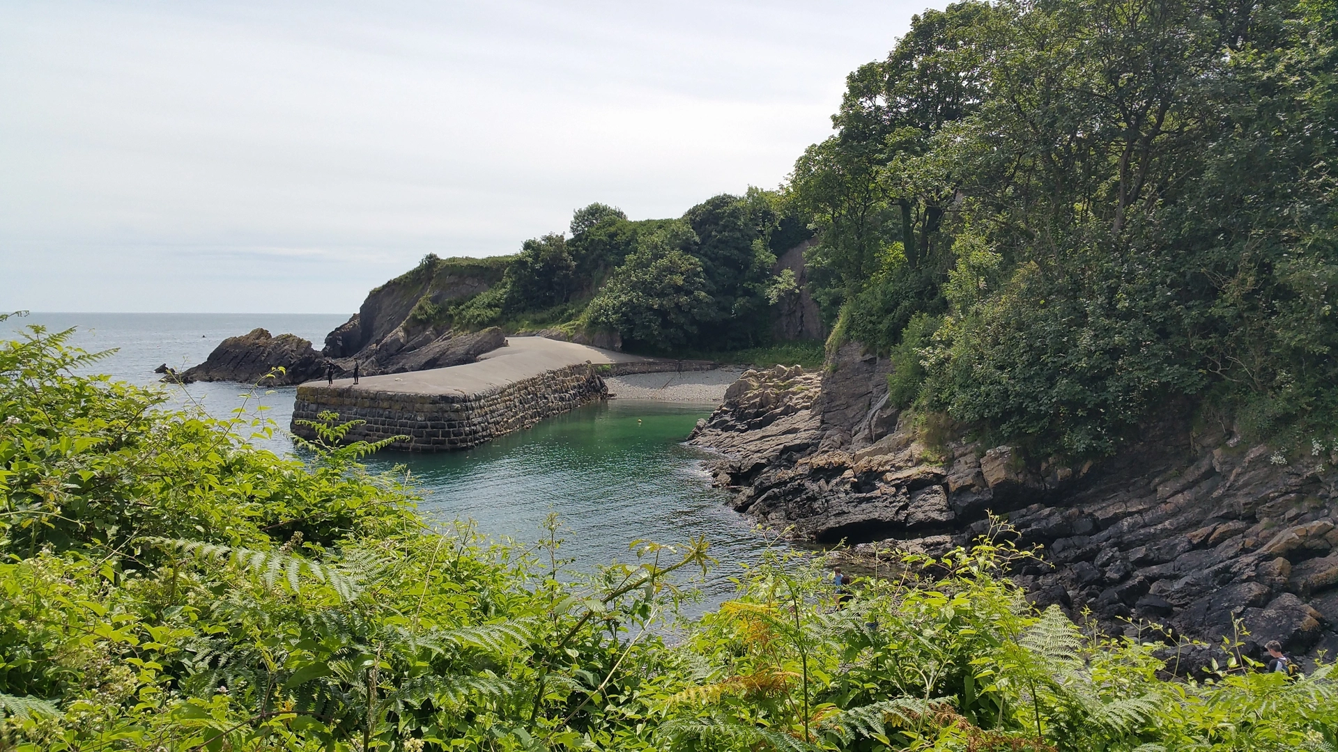An image depicting the trail The Stackpole Estate from Stackpole Quay and its surrounding area.