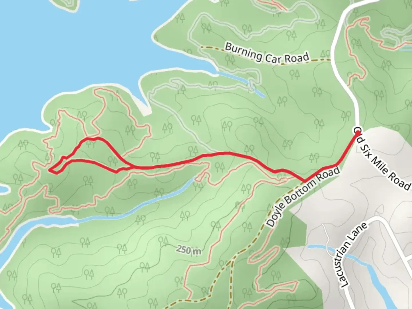 An image depicting the trail Chicken Loop and its surrounding area.