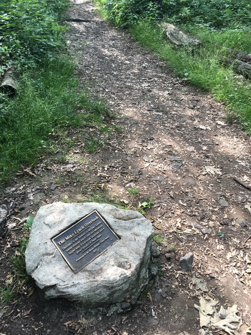 An image depicting the trail Mount ST Struble Road and its surrounding area.