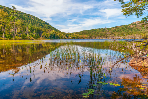 An image depicting the trail Bald Peak Trail and its surrounding area.