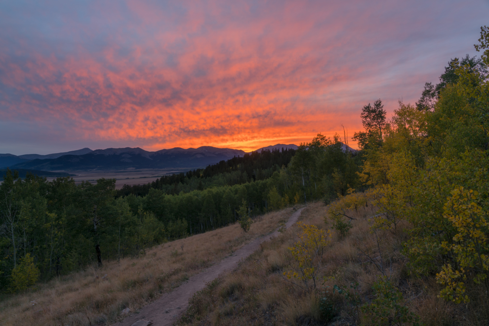 An image depicting the trail Craig Park Trail and its surrounding area.