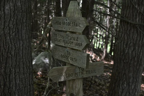 An image depicting the trail Kebo Brook Trail and its surrounding area.