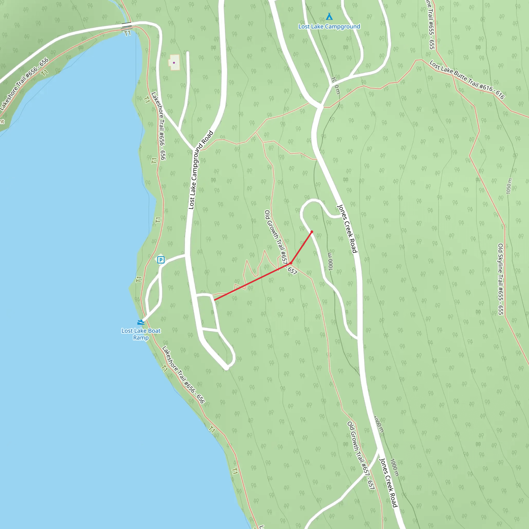 Rhododendron Trail near Lost Lake mobile static map