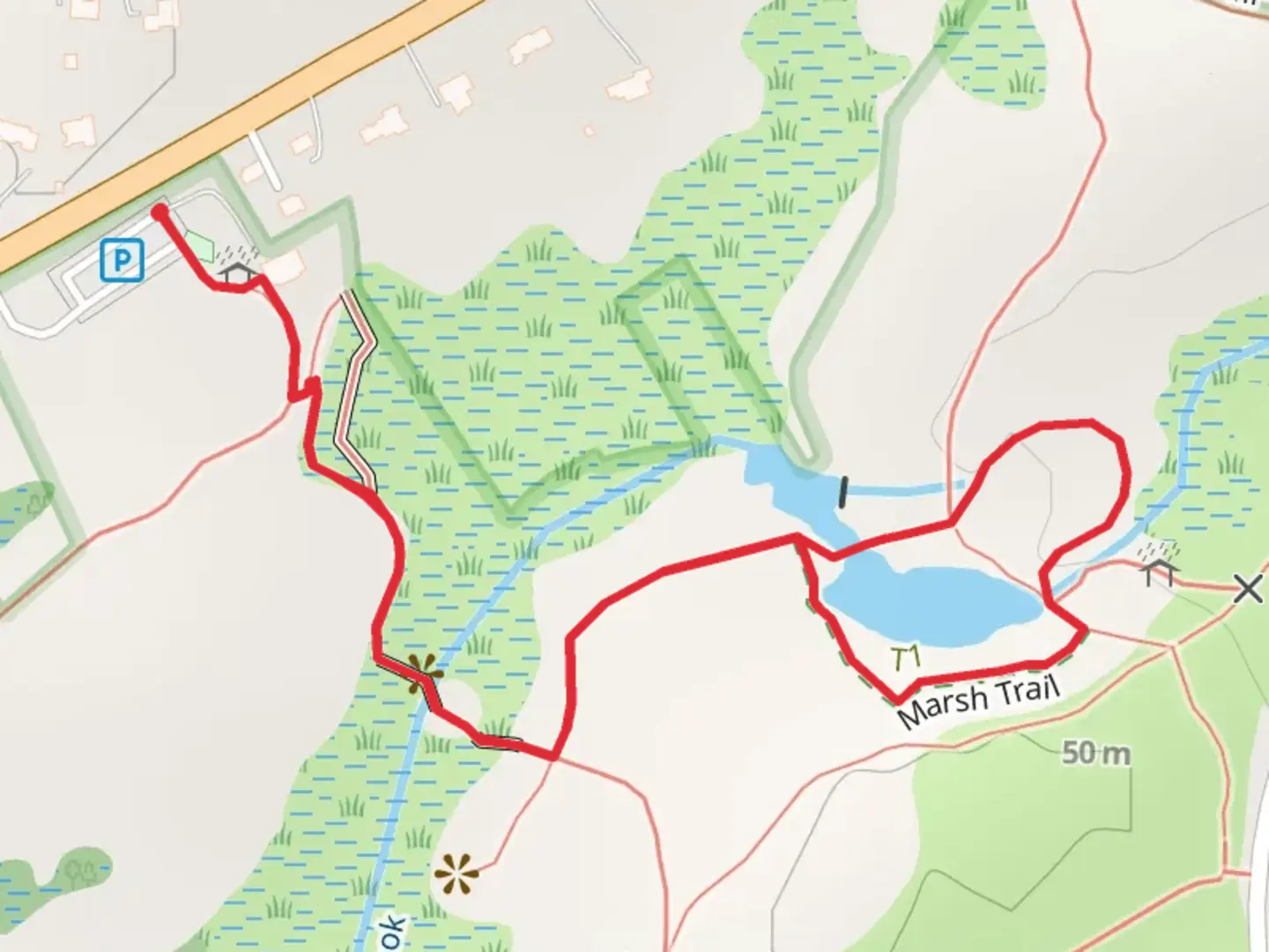 An image depicting the trail Indian Brook Loop Trail and its surrounding area.