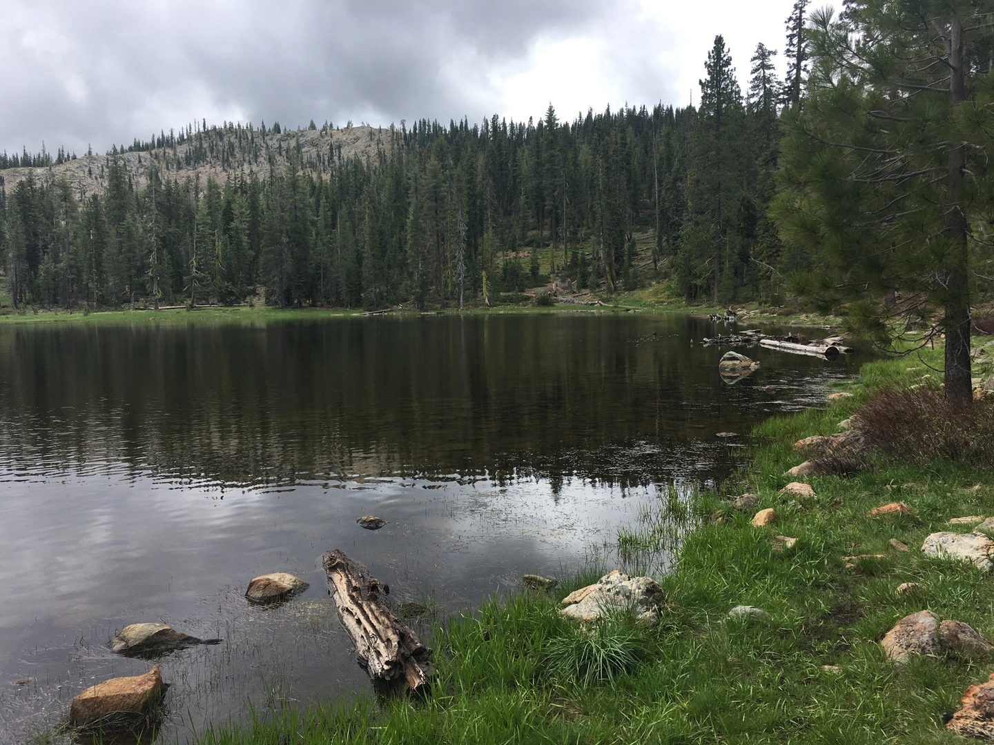 An image depicting the trail Gumboot Lake Trail and its surrounding area.