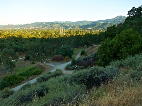Guadalupe Oak Grove Park Loop