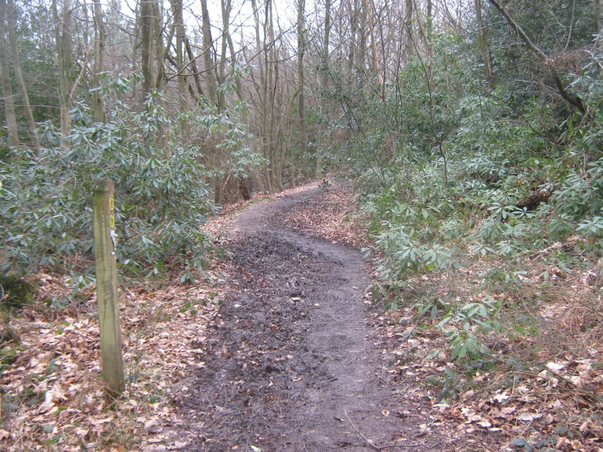 Squerryes Park and Chartwell Loop