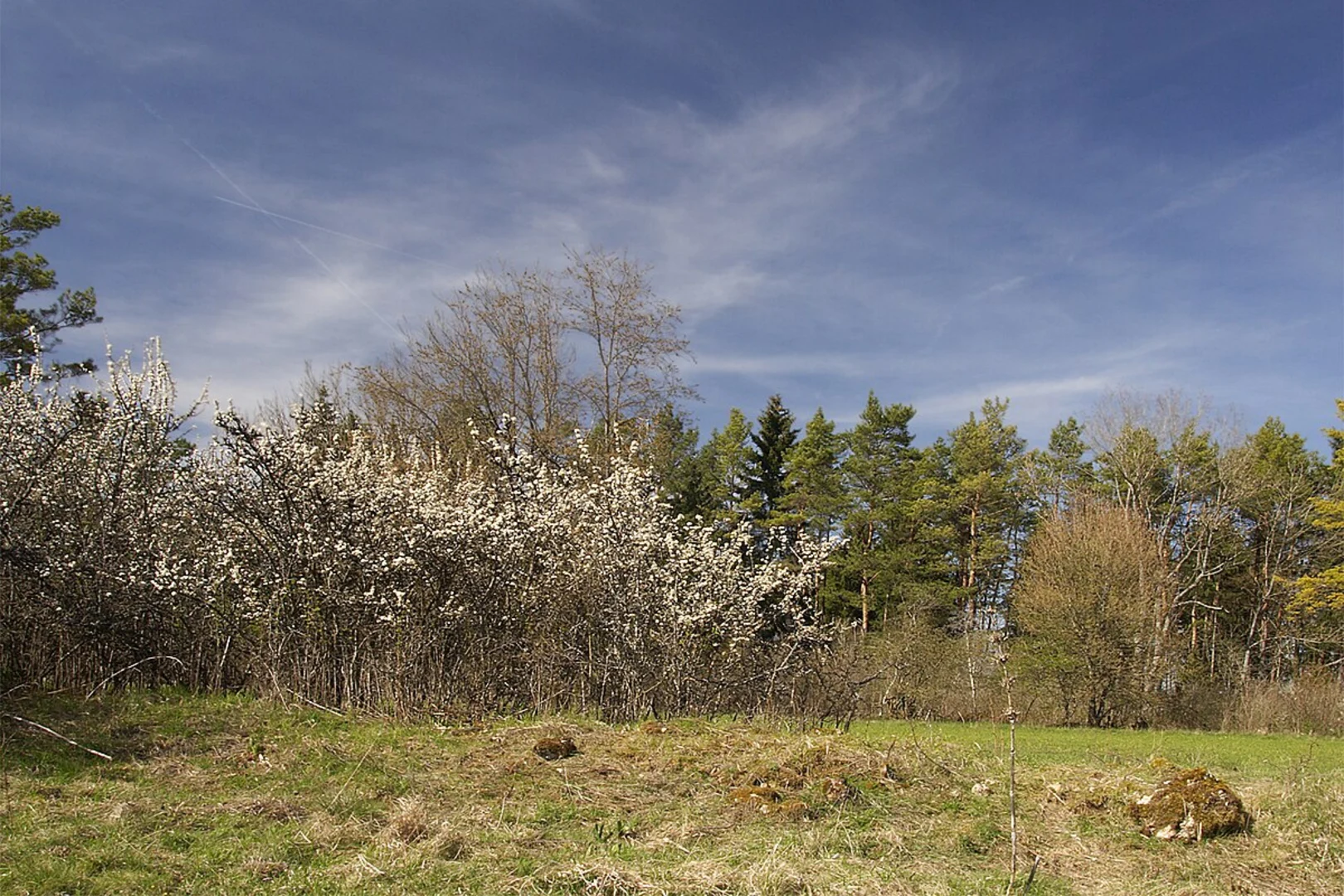 An image depicting the trail Wurschberg, Fuerstenbergblick, and Steinriegels via Schellengang and its surrounding area.