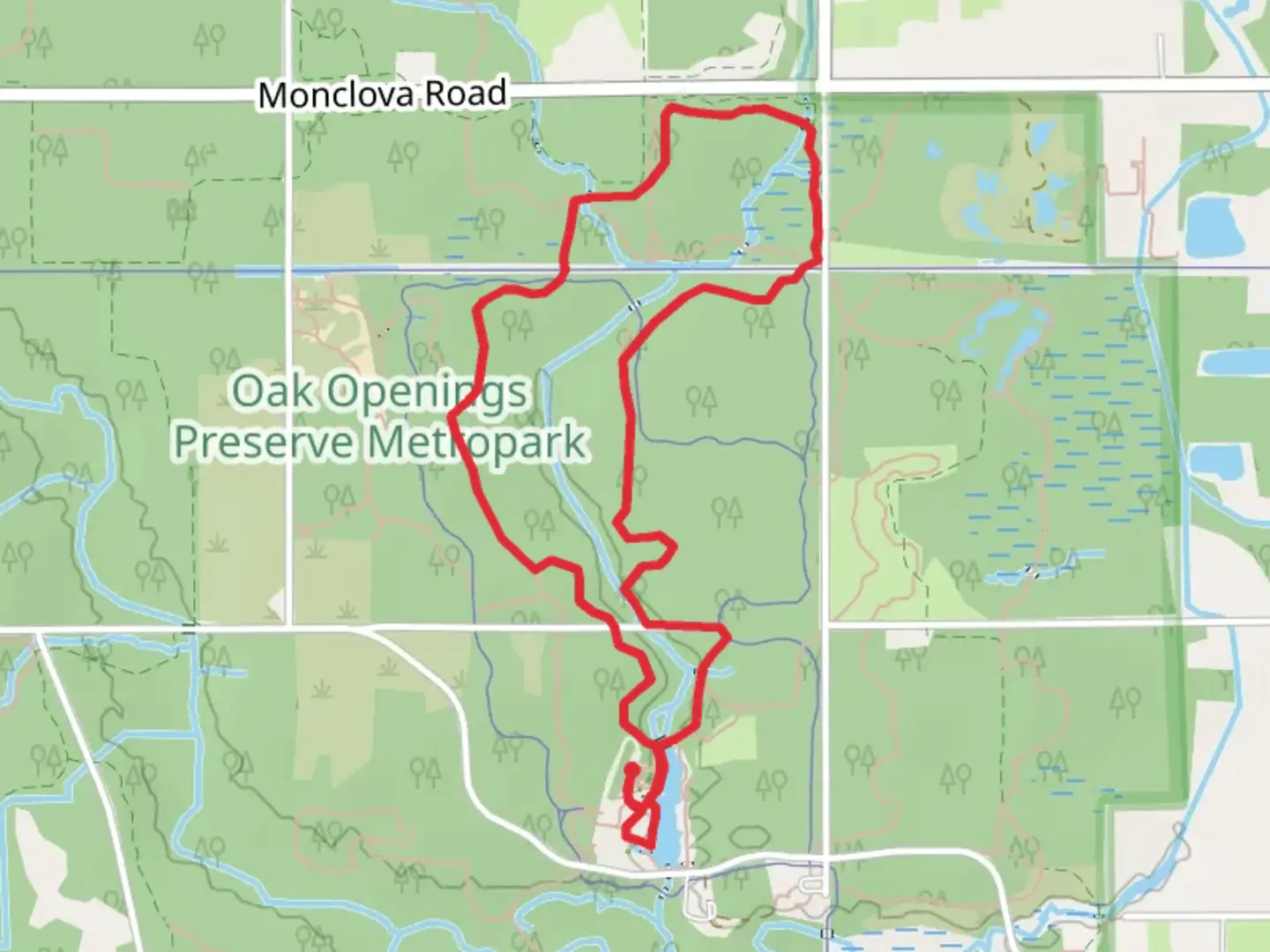 An image depicting the trail Ferns - Lakes and Oak Openings Hiking Loop Trail and its surrounding area.