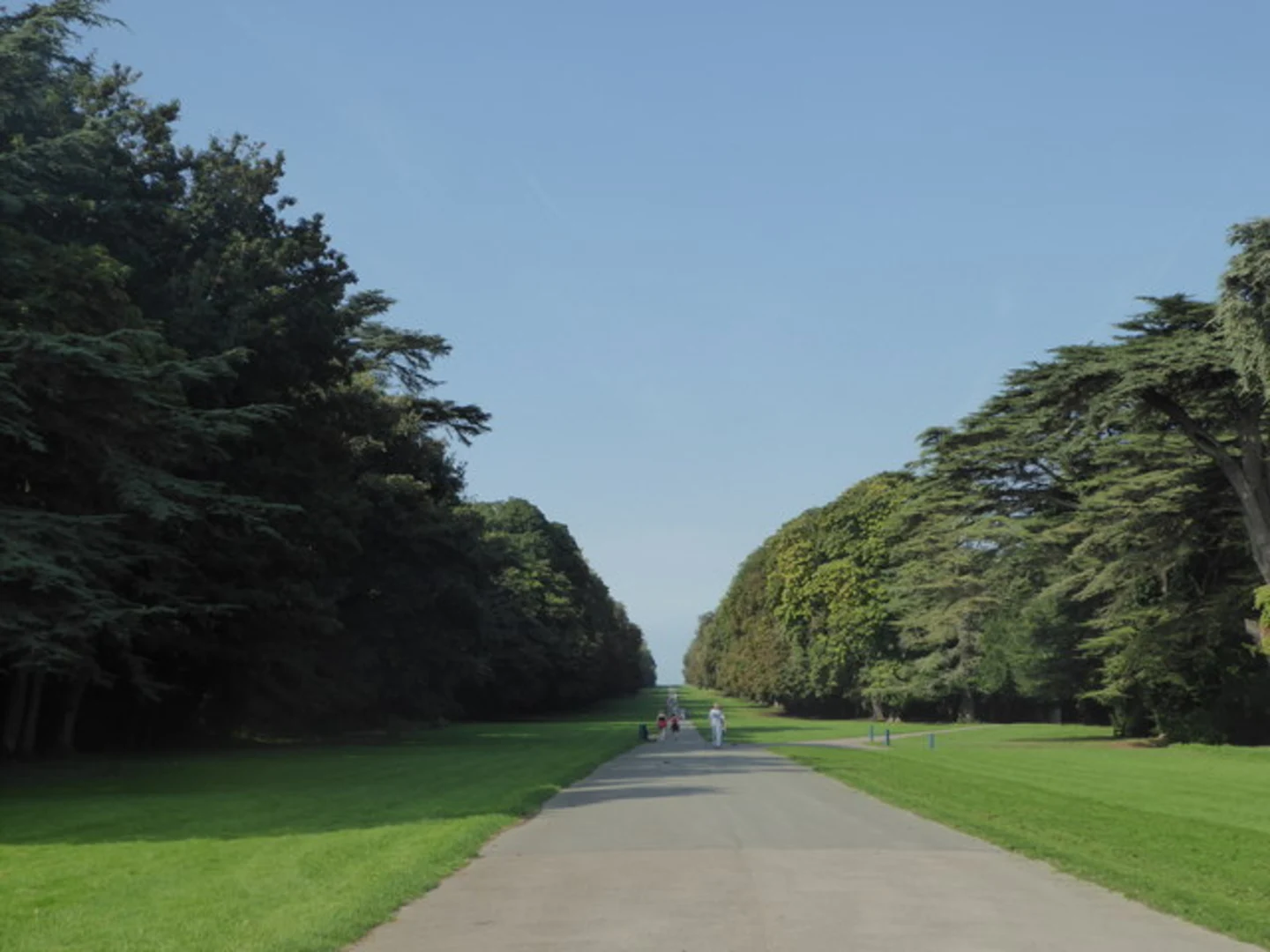 An image depicting the trail Cirencester Park Walk and its surrounding area.