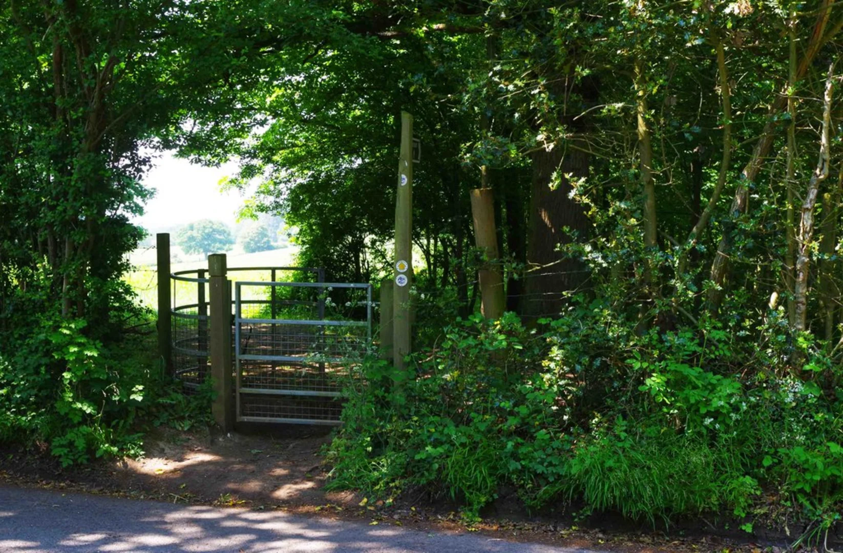 An image depicting the trail Chaddesley Wood Circular Walk and its surrounding area.