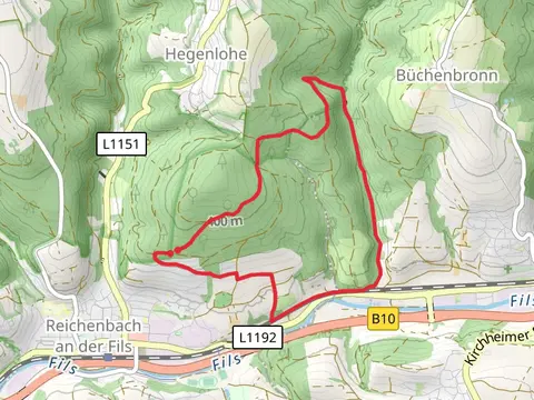 Reichenbach Loop