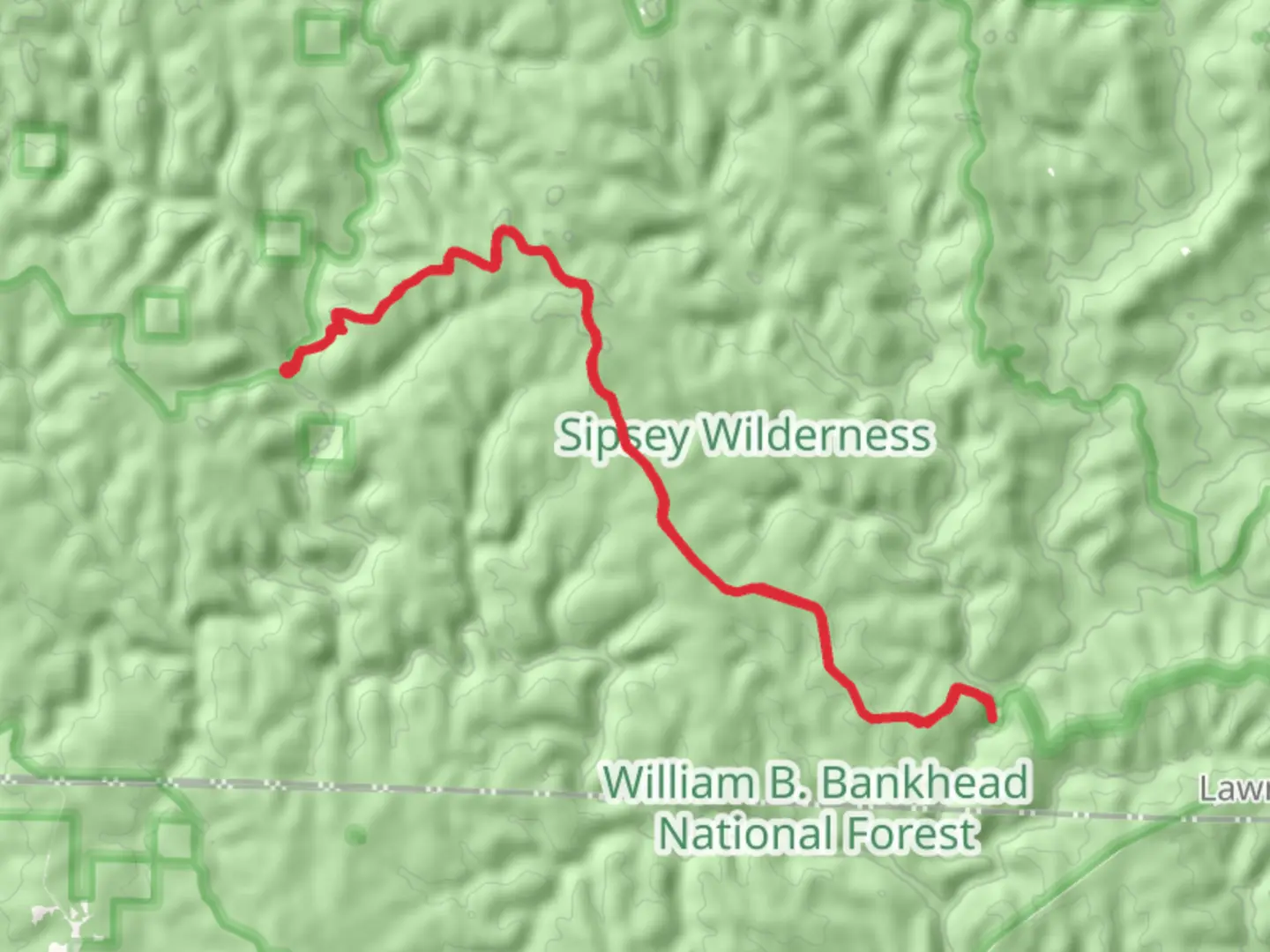An image depicting the trail Bunyan Hill Wild Trail and its surrounding area.