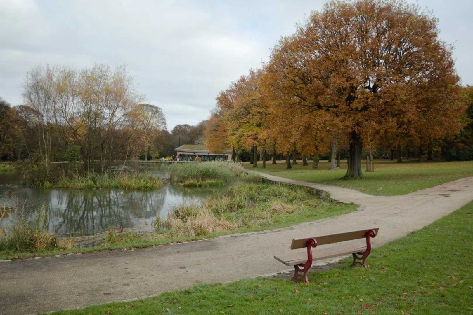 An image depicting the trail Middleton Park, Middleton Wood and Park Wood Loop and its surrounding area.